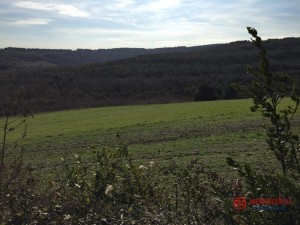 8d13cf81_7d99_4246_8802_668749b8f76b (2).jpg